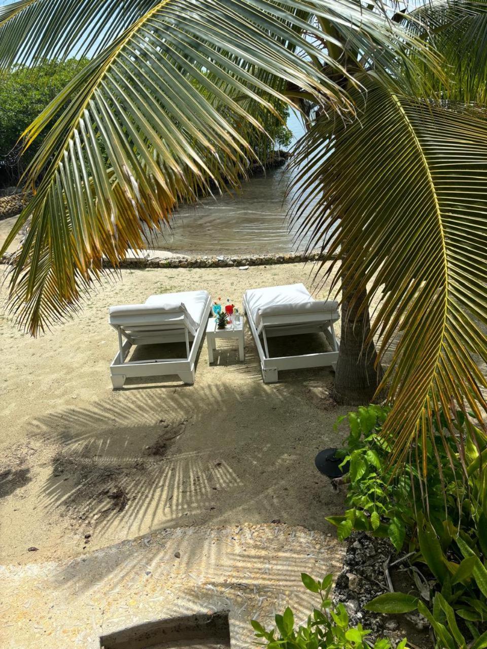 Cocos Isla Barú